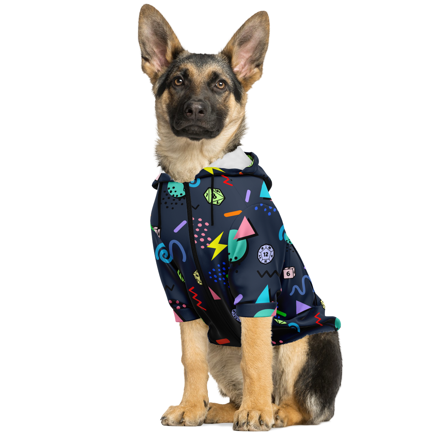 Retro Rock N Roll Dog Hoodie