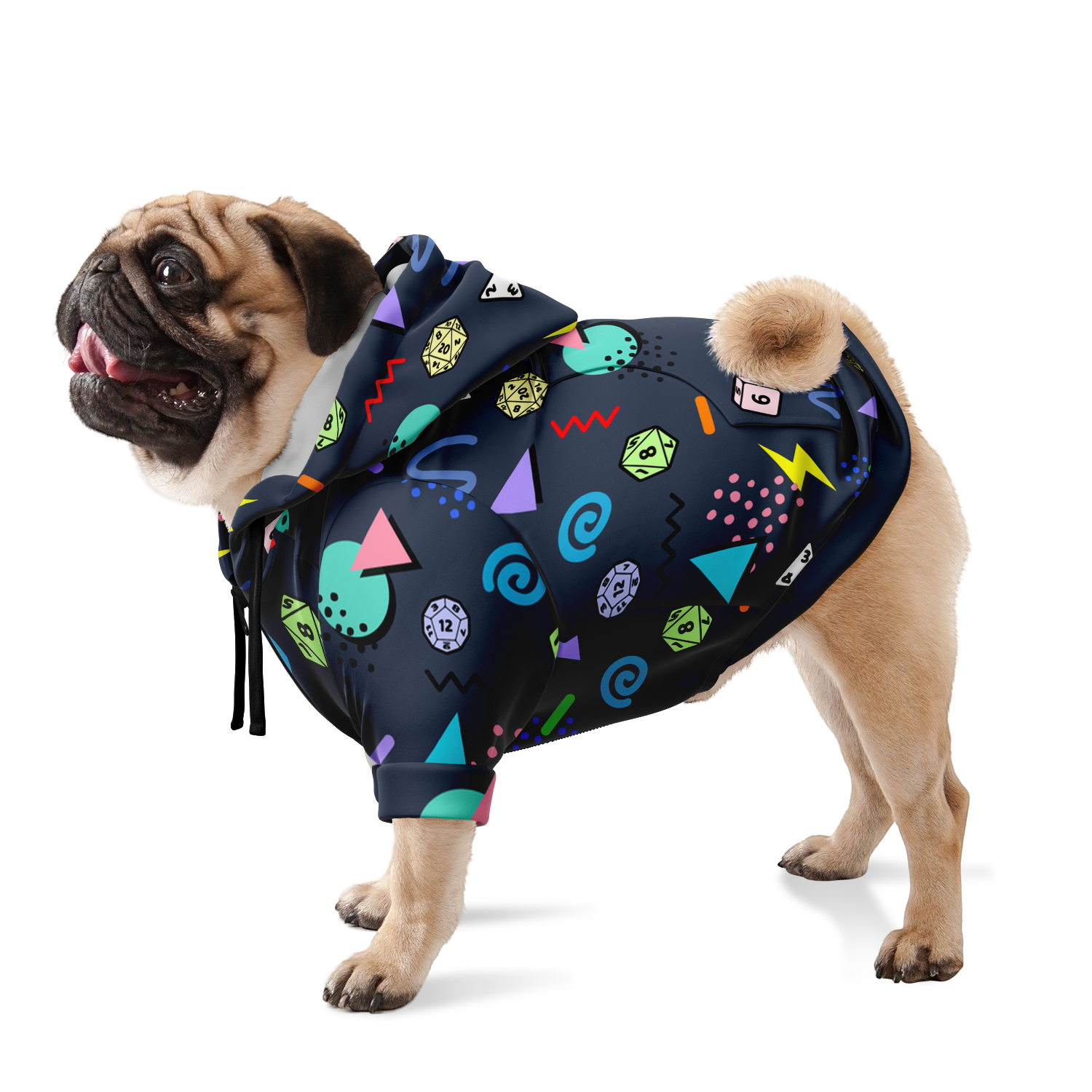 Retro Rock N Roll Dog Hoodie